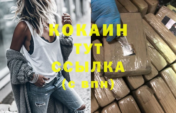 соль ск Белокуриха