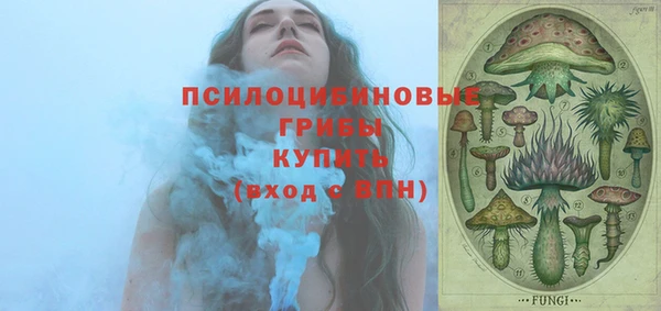 соль ск Белокуриха