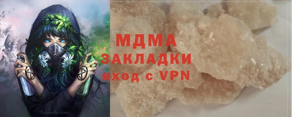 шишки Белоозёрский