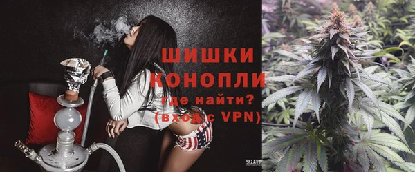 шишки Белоозёрский