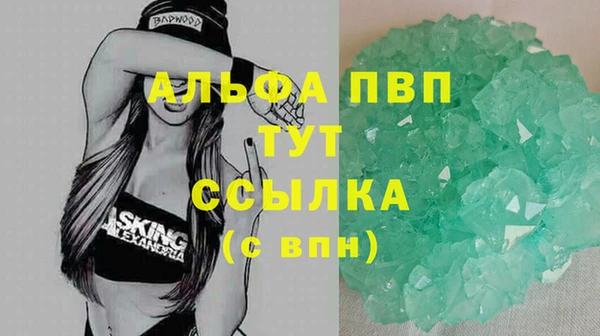 шишки Белоозёрский