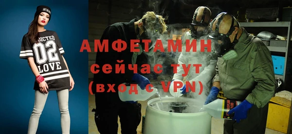 шишки Белоозёрский