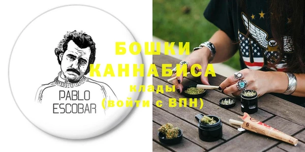 шишки Белоозёрский