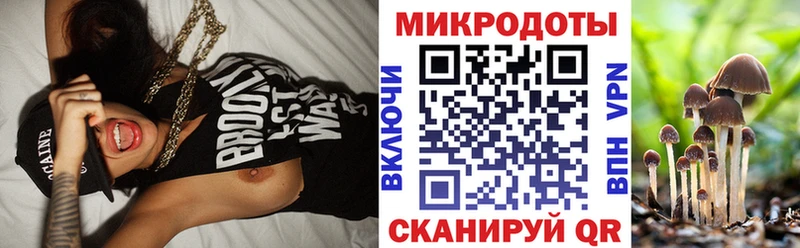 Галлюциногенные грибы Cubensis  Нелидово 