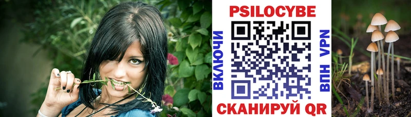 Псилоцибиновые грибы мицелий Нелидово